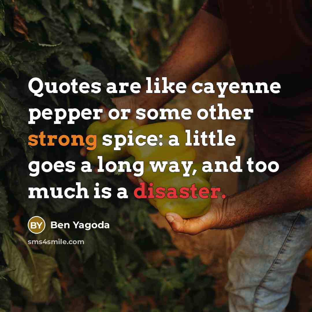 “Quotes are like cayenne pepper or some other strong spice: a little goes a long way, and too much is a disaster.” quote by Ben Yagoda