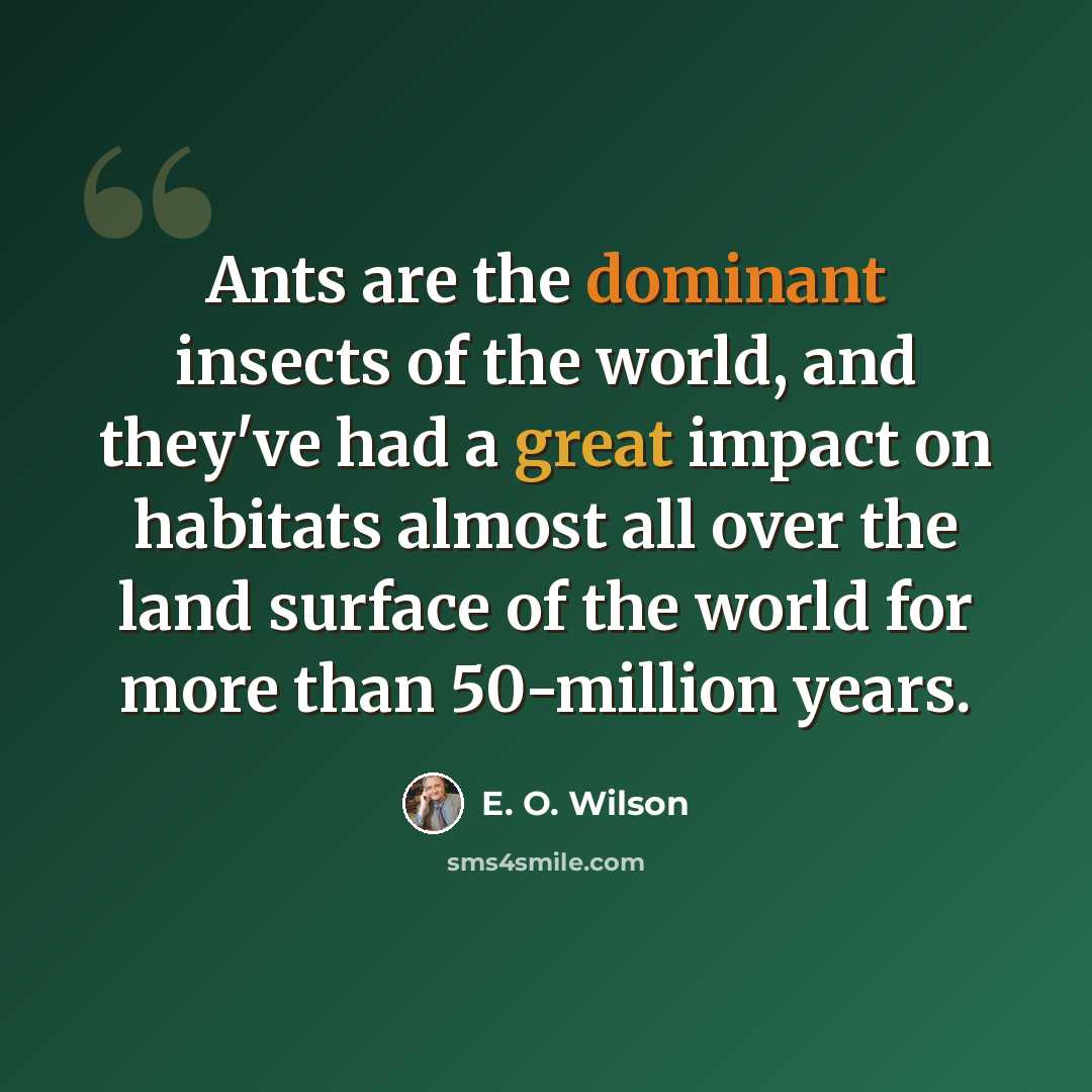 “Ants are the dominant insects of the world, and they've had a great impact on habitats almost all over the land surface of the world for more than 50-million years.” quote by E. O. Wilson
