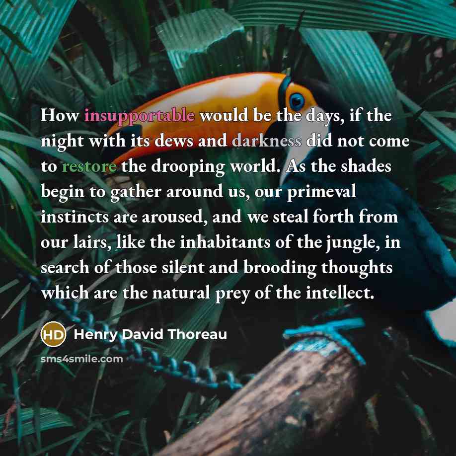 “How insupportable would be the days, if the night with its dews and darkness did not come to restore the drooping world. As the shades begin to gather around us, our primeval instincts are aroused, and we steal forth from our lairs, like the inhabitants of the jungle, in search of those silent and…” quote by Henry David Thoreau