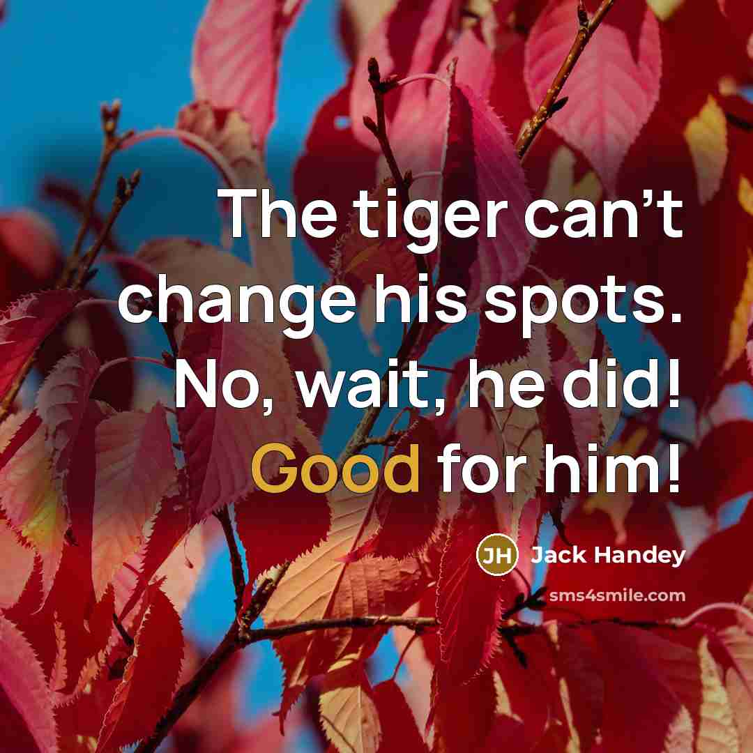 “The tiger can't change his spots. No, wait, he did! Good for him!” quote by Jack Handey