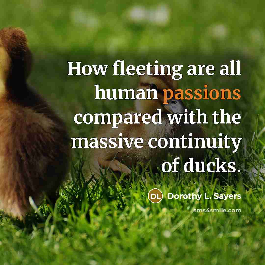 “How fleeting are all human passions compared with the massive continuity of ducks.” quote by Dorothy L. Sayers