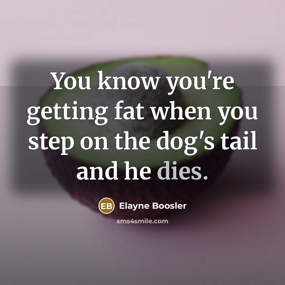 “You know you're getting fat when you step on the dog's tail and he dies.” quote by Elayne Boosler