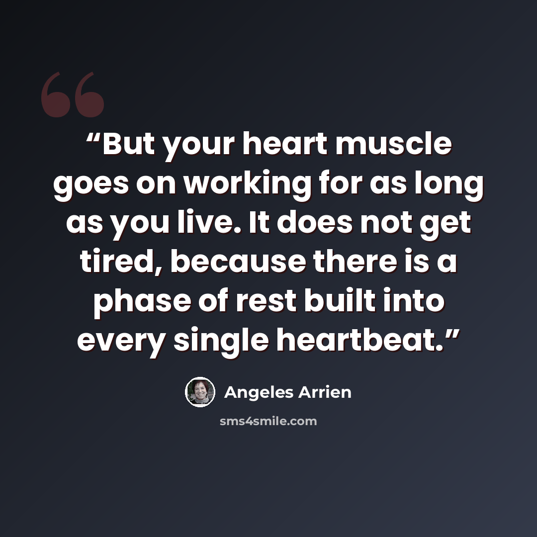 “But your heart muscle goes on working for as long as you live. It does not get tired, because there is a phase of rest built into every single heartbeat.” quote by Angeles Arrien