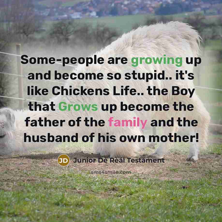 “Some-people are growing up and become so stupid.. it's like Chickens Life.. the Boy that Grows up become the father of the family and the husband of his own mother!” quote by Junior Dè Rèál Testament