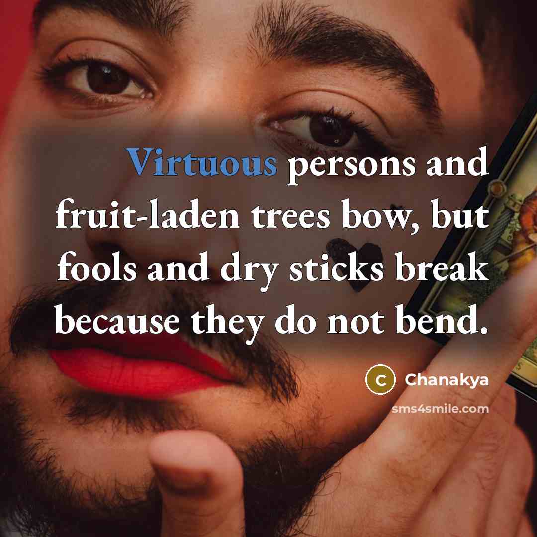 “Virtuous persons and fruit-laden trees bow, but fools and dry sticks break because they do not bend.” quote by Chanakya