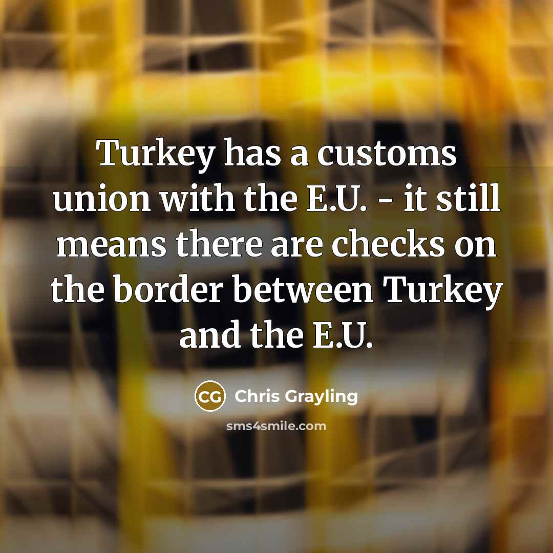 “Turkey has a customs union with the E.U. - it still means there are checks on the border between Turkey and the E.U.” quote by Chris Grayling