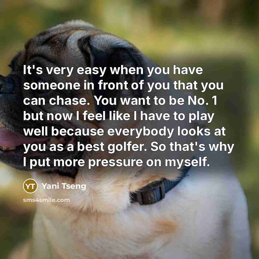 “It's very easy when you have someone in front of you that you can chase. You want to be No. 1 but now I feel like I have to play well because everybody looks at you as a best golfer. So that's why I put more pressure on myself.” quote by Yani Tseng