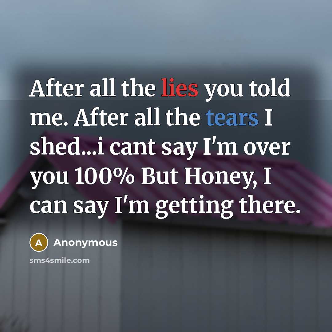 “After all the lies you told me. After all the tears I shed...i cant say I'm over you 100% But Honey, I can say I'm getting there.” quote by Anonymous