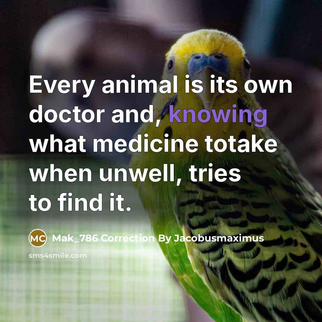“Every animal is its own doctor and, knowing what medicine totake when unwell, tries to find it.” quote by Mak_786 Correction By Jacobusmaximus