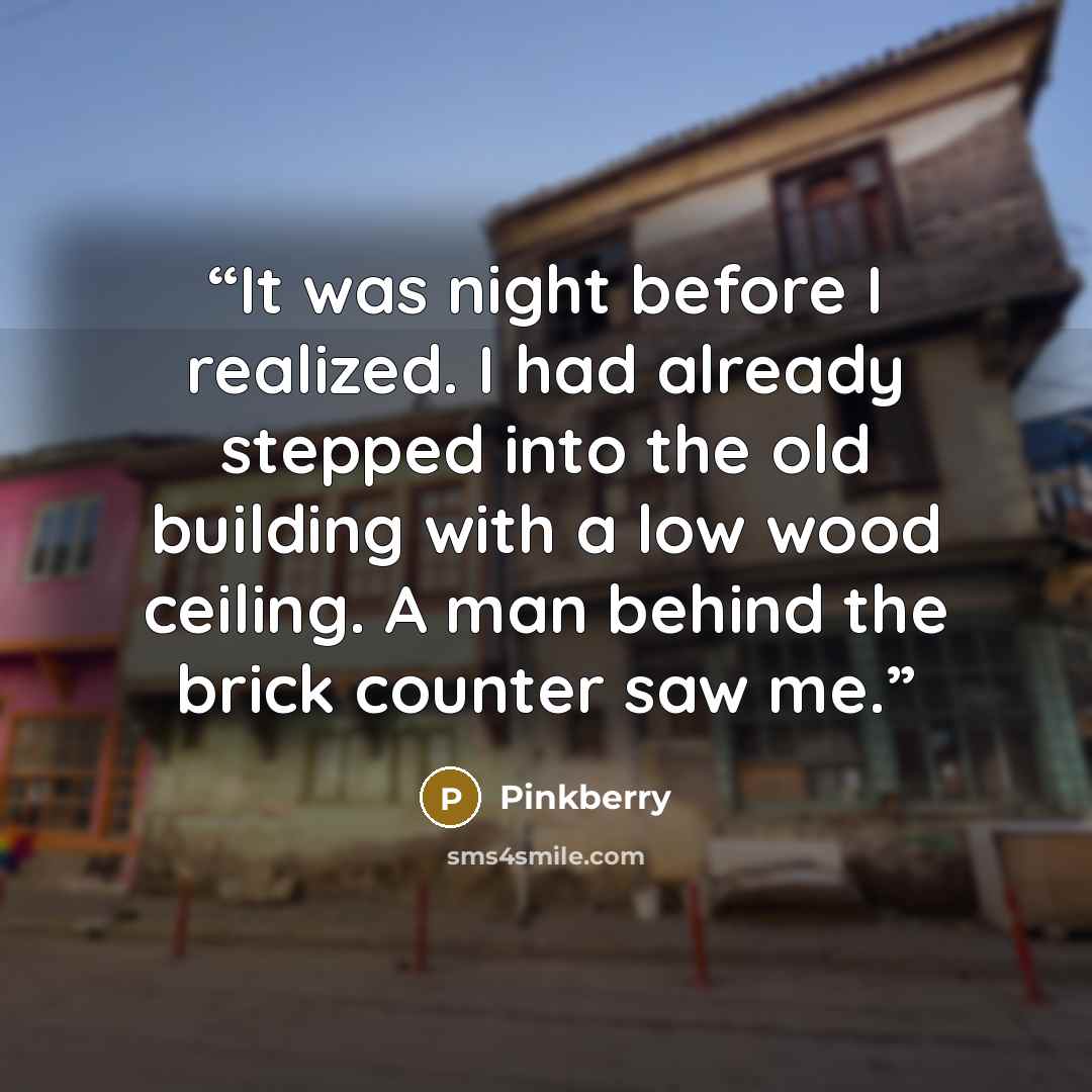 “It was night before I realized. I had already stepped into the old building with a low wood ceiling. A man behind the brick counter saw me.” quote by Pinkberry