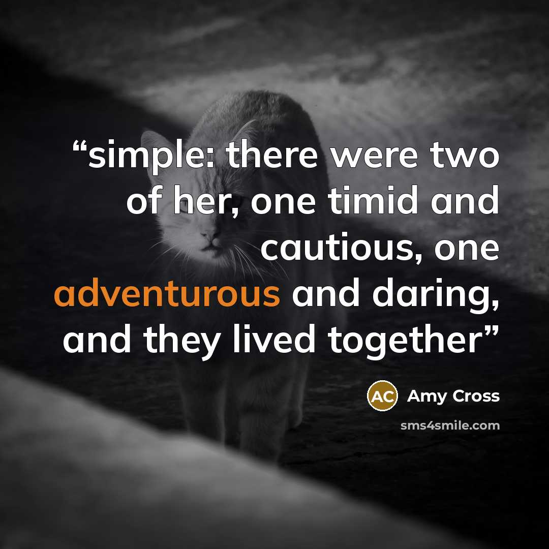 “simple: there were two of her, one timid and cautious, one adventurous and daring, and they lived together” quote by Amy Cross