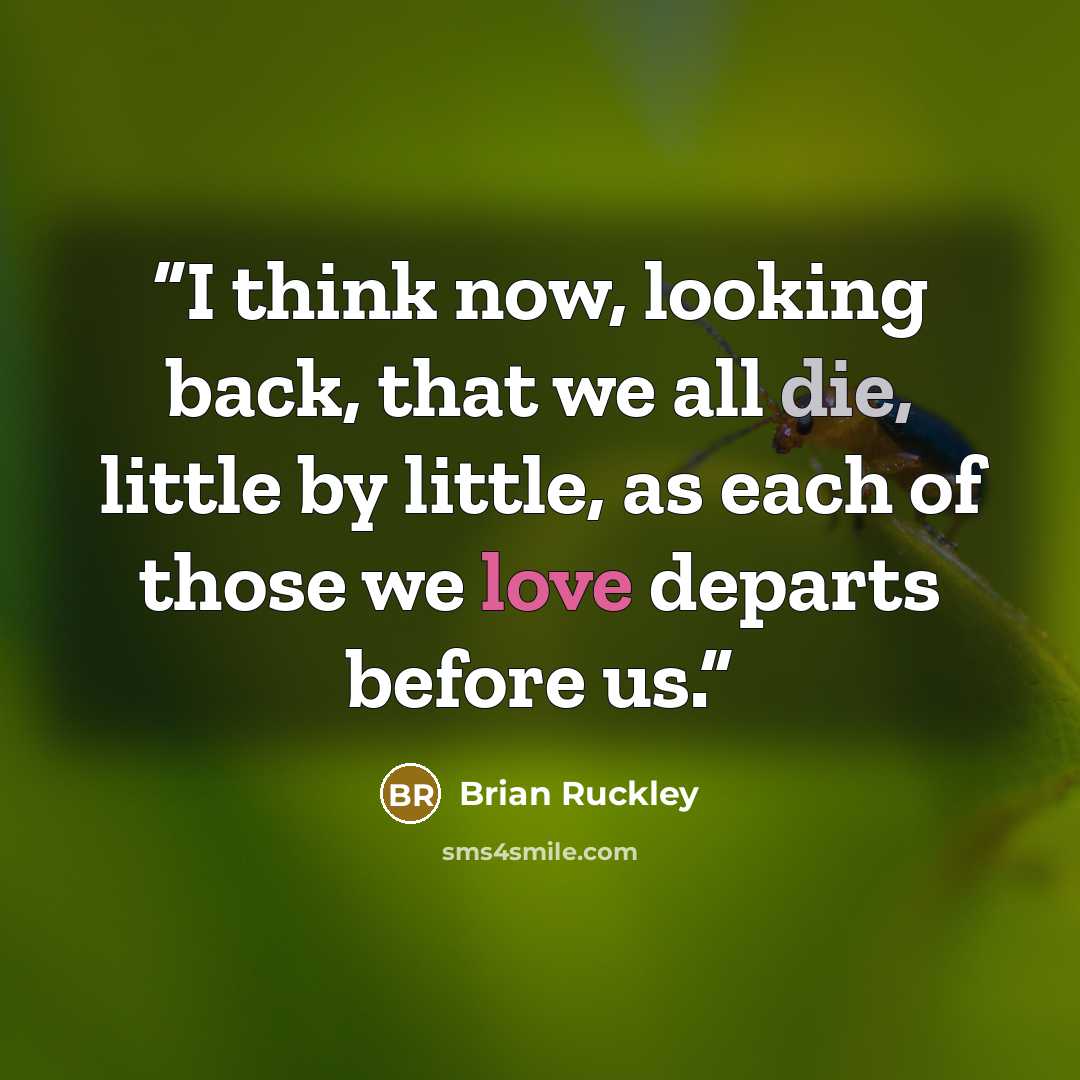 “I think now, looking back, that we all die, little by little, as each of those we love departs before us.” quote by Brian Ruckley