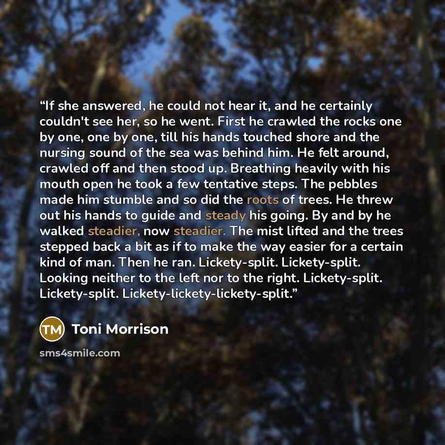 “If she answered, he could not hear it, and he certainly couldn't see her, so he went. First he crawled the rocks one by one, one by one, till his hands touched shore and the nursing sound of the sea was behind him. He felt around, crawled off and then stood up. Breathing heavily with his mouth…” quote by Toni Morrison