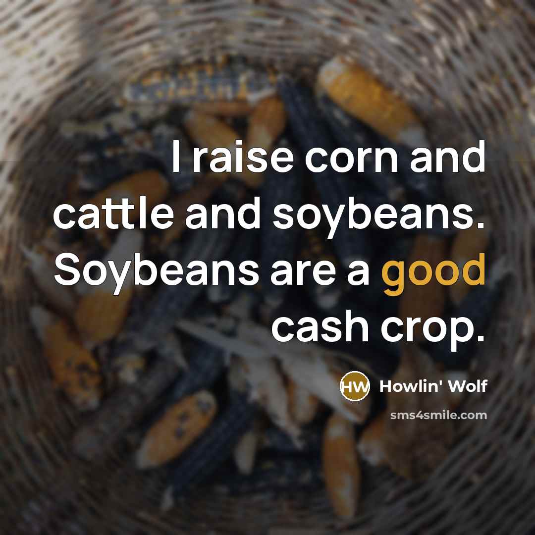 “I raise corn and cattle and soybeans. Soybeans are a good cash crop.” quote by Howlin' Wolf