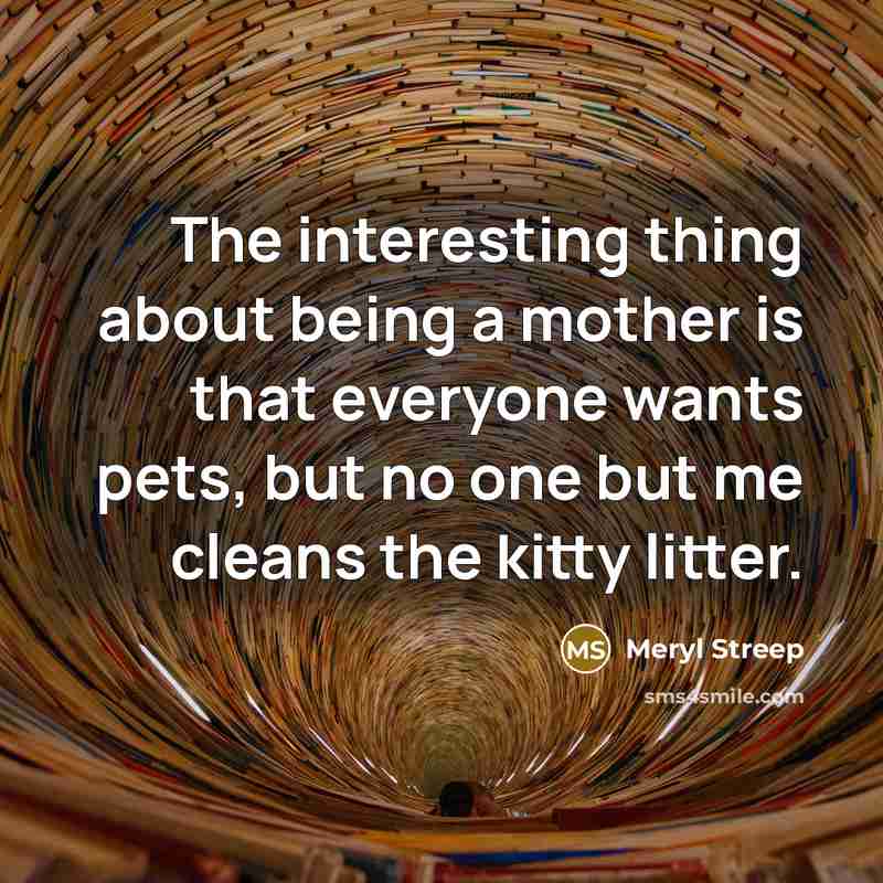 “The interesting thing about being a mother is that everyone wants pets, but no one but me cleans the kitty litter.” quote by Meryl Streep