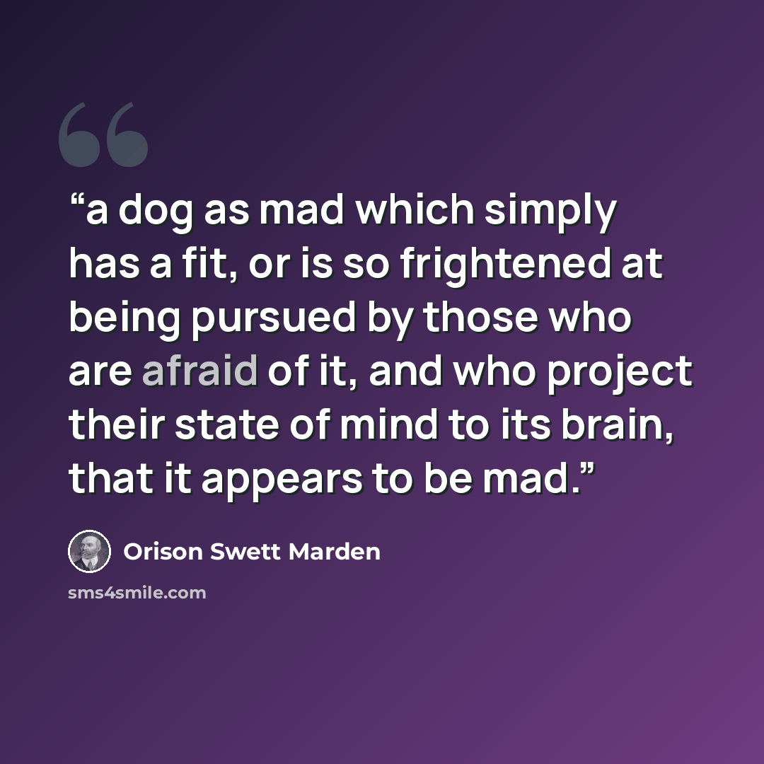 “a dog as mad which simply has a fit, or is so frightened at being pursued by those who are afraid of it, and who project their state of mind to its brain, that it appears to be mad.” quote by Orison Swett Marden