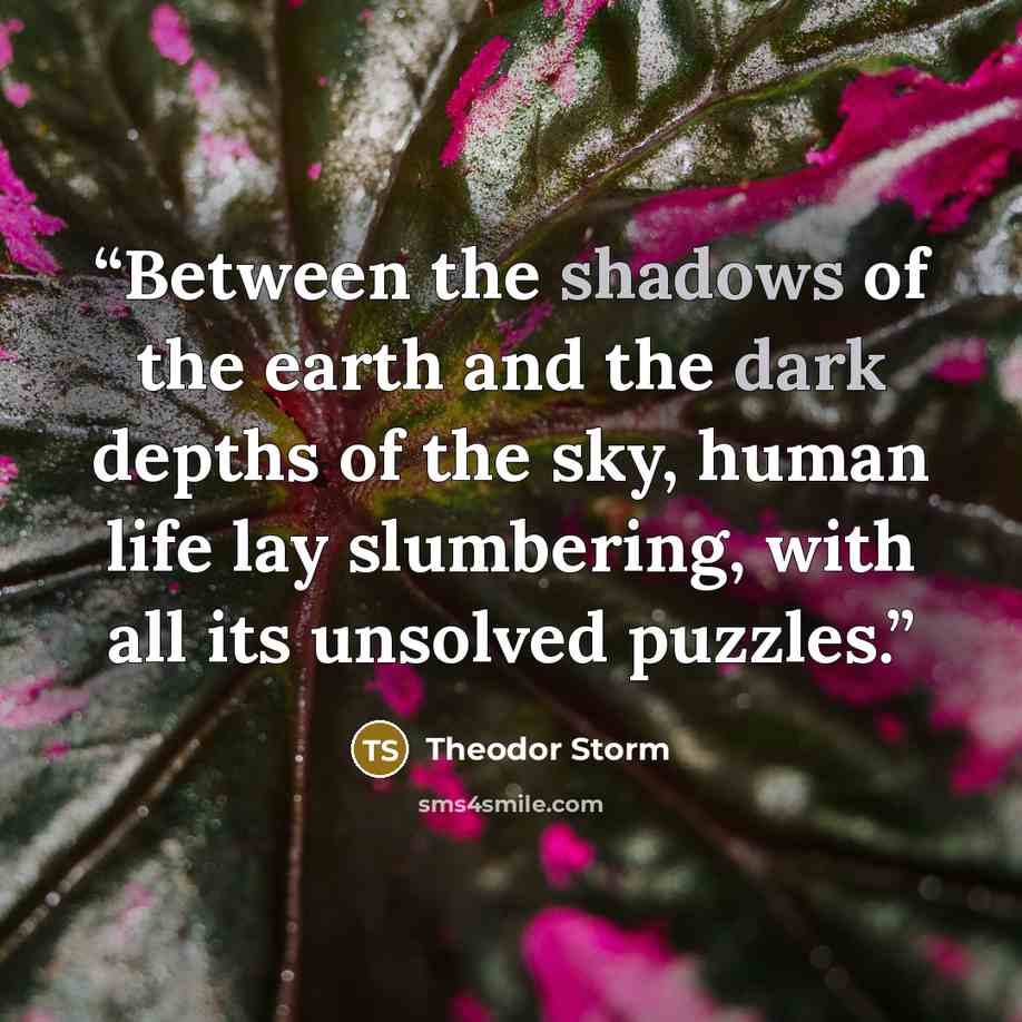“Between the shadows of the earth and the dark depths of the sky, human life lay slumbering, with all its unsolved puzzles.” quote by Theodor Storm