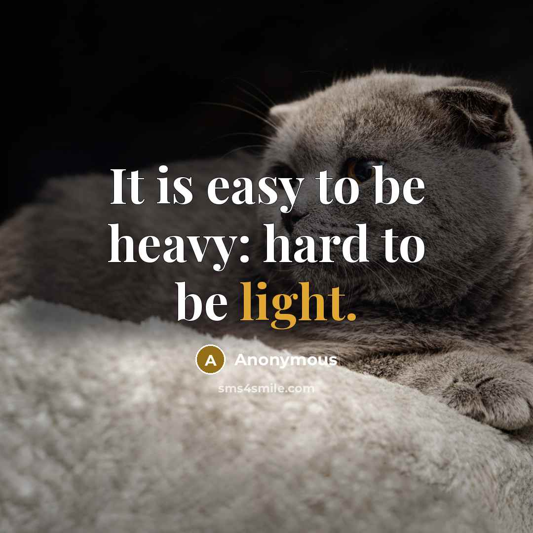 “It is easy to be heavy: hard to be light.” quote by Anonymous