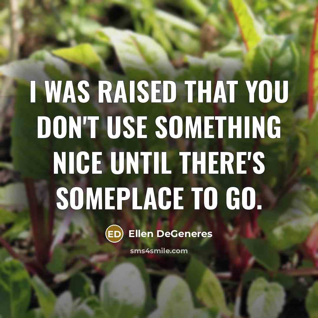 “I was raised that you don't use something nice until there's someplace to go.” quote by Ellen DeGeneres