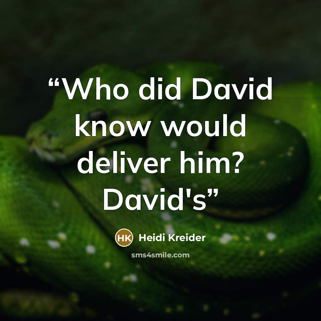 “Who did David know would deliver him? David's” quote by Heidi Kreider