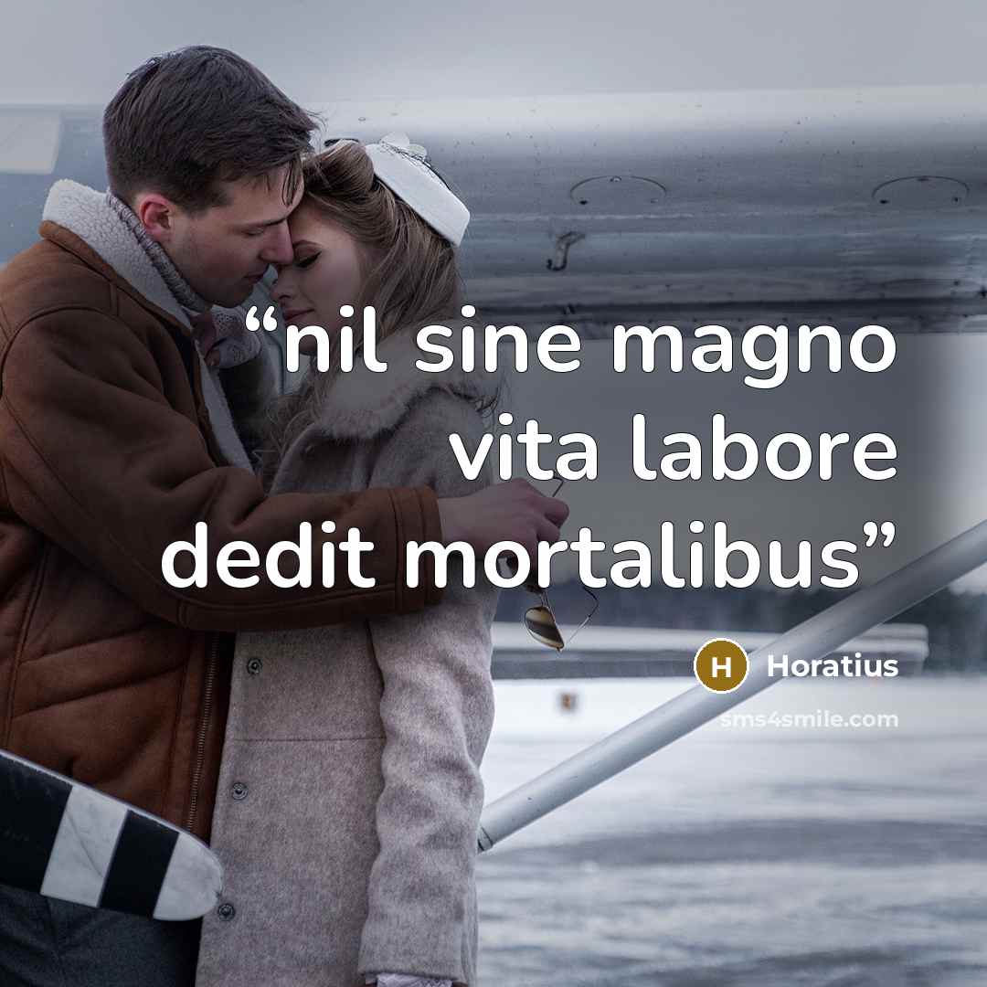 “nil sine magno vita labore dedit mortalibus” quote by Horatius