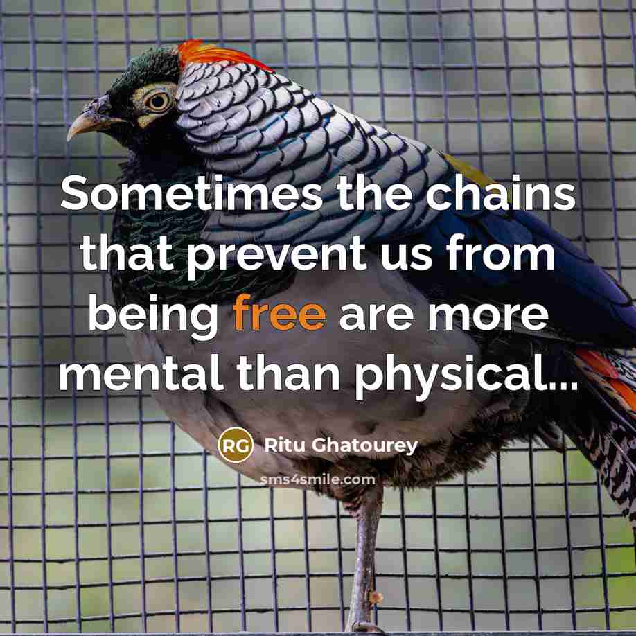 “Sometimes the chains that prevent us from being free are more mental than physical...” quote by Ritu Ghatourey