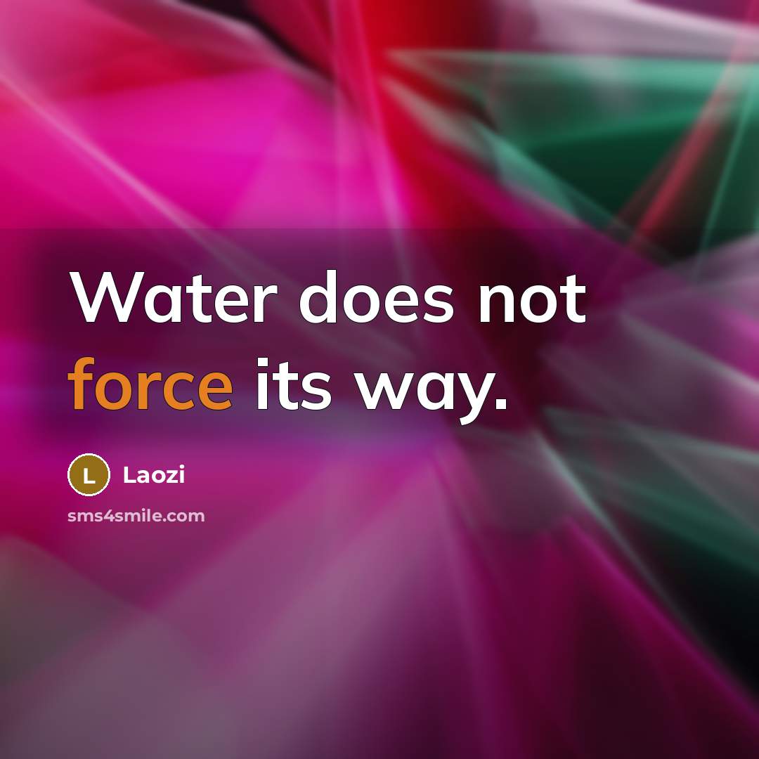 “Water does not force its way.” quote by Laozi