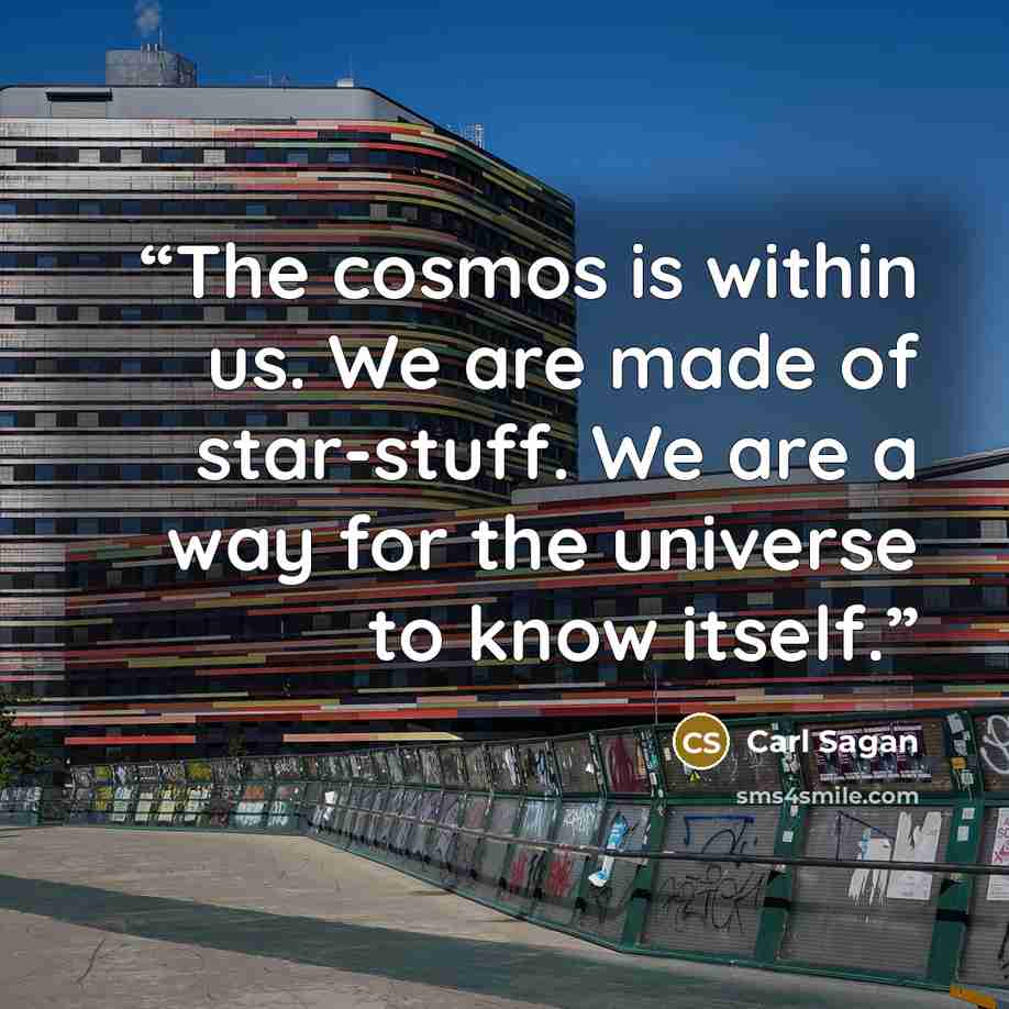 “The cosmos is within us. We are made of star-stuff. We are a way for the universe to know itself.” quote by Carl Sagan