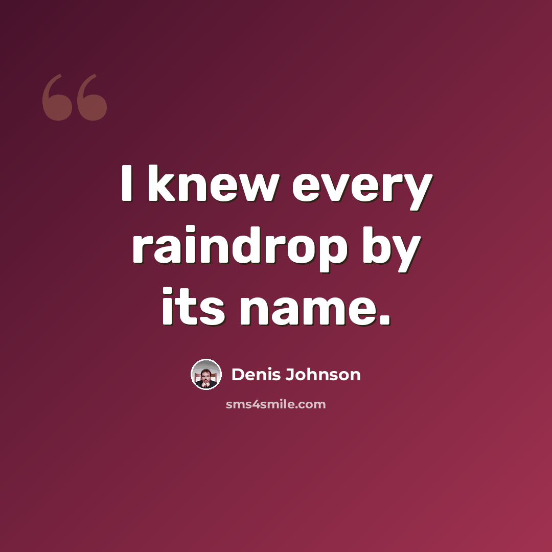“I knew every raindrop by its name.” quote by Denis Johnson