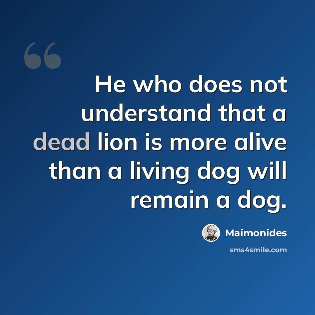 “He who does not understand that a dead lion is more alive than a living dog will remain a dog.” quote by Maimonides