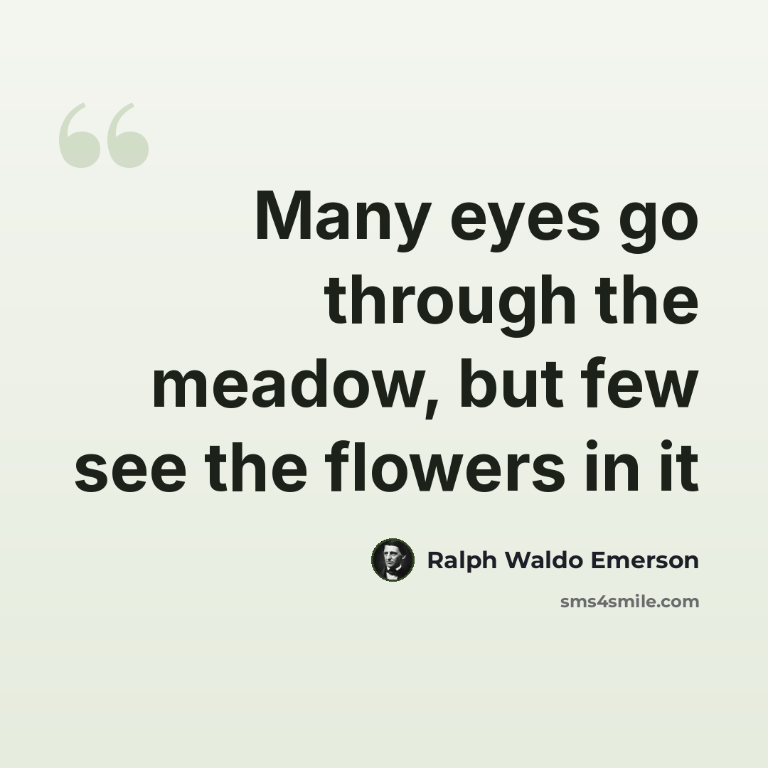 “Many eyes go through the meadow, but few see the flowers in it” quote by Ralph Waldo Emerson
