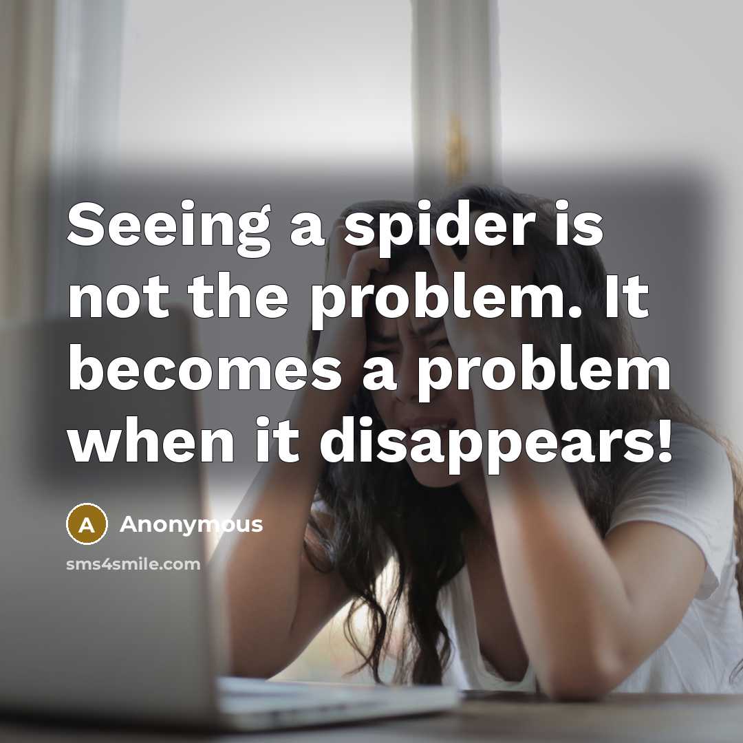 “Seeing a spider is not the problem. It becomes a problem when it disappears!” quote by Anonymous