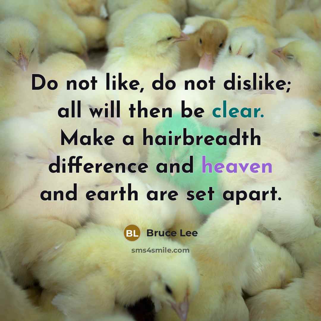 “Do not like, do not dislike; all will then be clear. Make a hairbreadth difference and heaven and earth are set apart.” quote by Bruce Lee