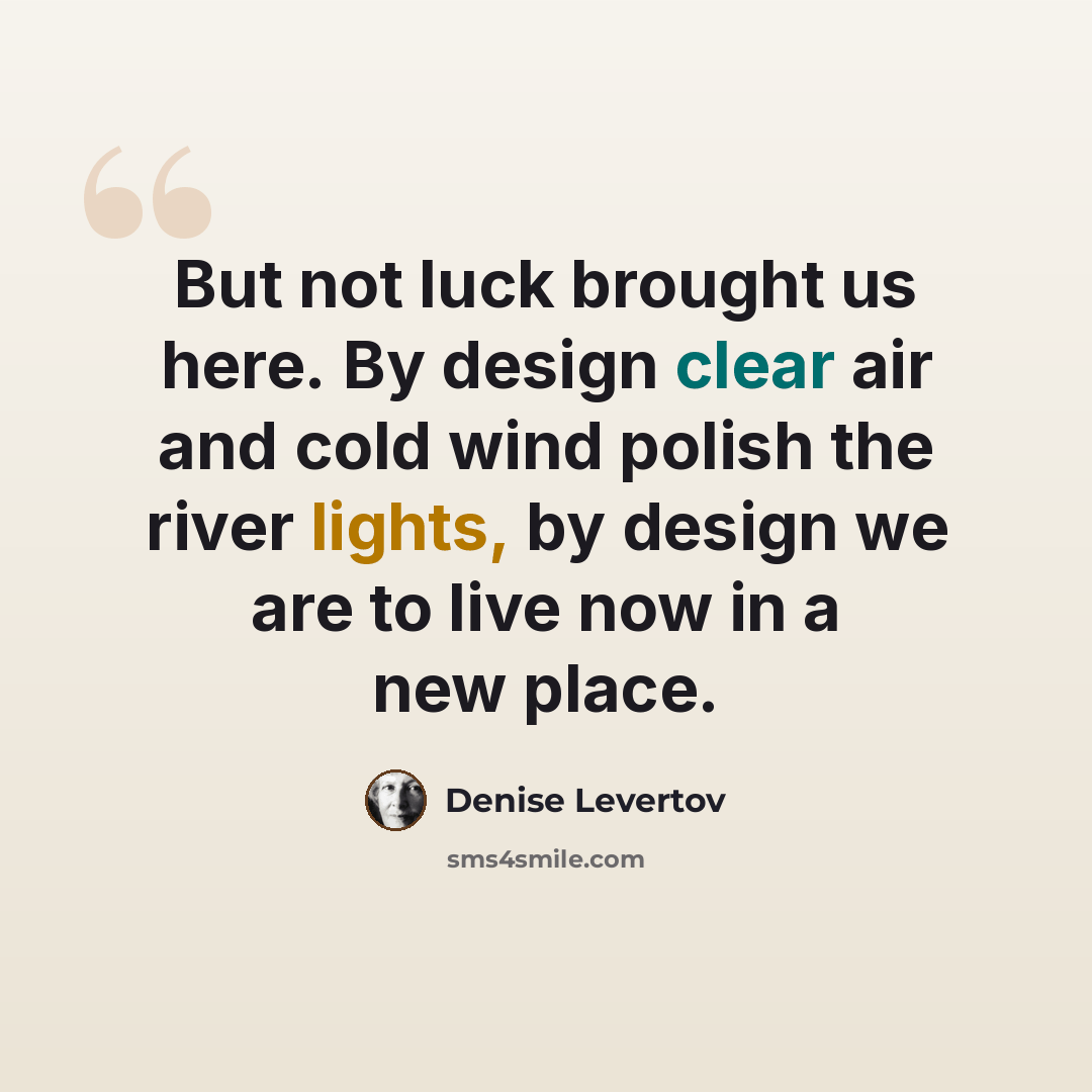 “But not luck brought us here. By design clear air and cold wind polish the river lights, by design we are to live now in a new place.” quote by Denise Levertov