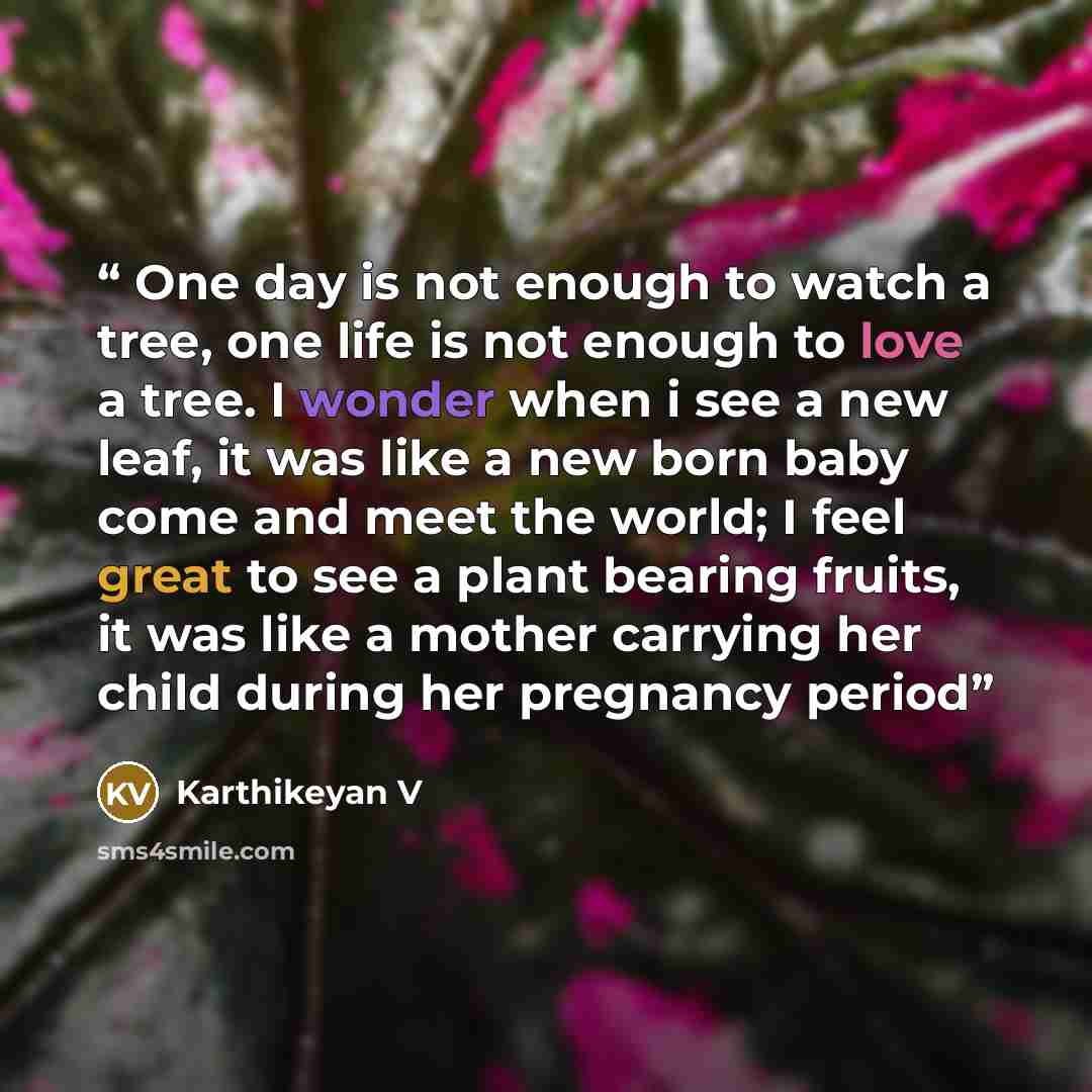 “One day is not enough to watch a tree, one life is not enough to love a tree. I wonder when i see a new leaf, it was like a new born baby come and meet the world; I feel great to see a plant bearing fruits, it was like a mother carrying her child during her pregnancy period” quote by Karthikeyan V
