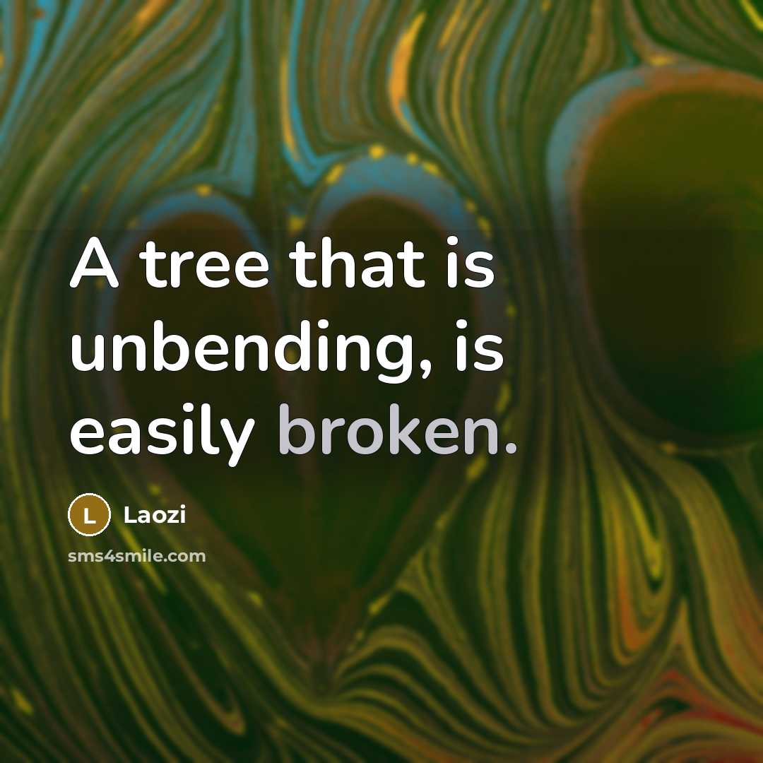 “A tree that is unbending, is easily broken.” quote by Laozi