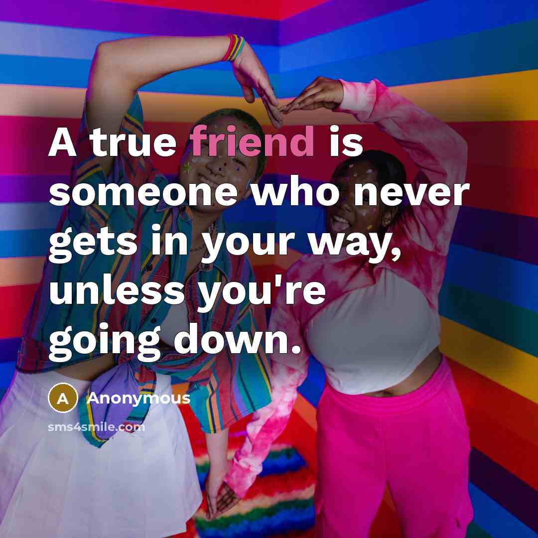 “A true friend is someone who never gets in your way, unless you're going down.” quote by Anonymous
