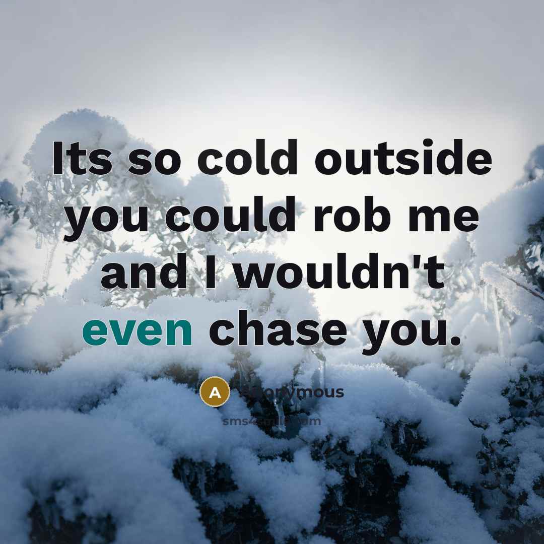 “Its so cold outside you could rob me and I wouldn't even chase you.” quote by Anonymous