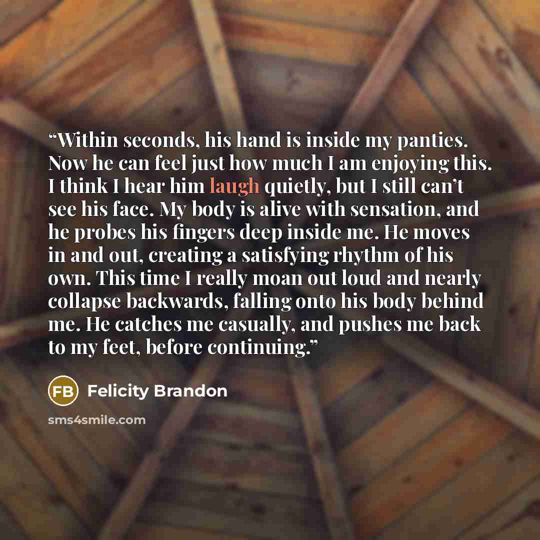 “Within seconds, his hand is inside my panties. Now he can feel just how much I am enjoying this. I think I hear him laugh quietly, but I still can’t see his face. My body is alive with sensation, and he probes his fingers deep inside me. He moves in and out, creating a satisfying rhythm of his…” quote by Felicity Brandon