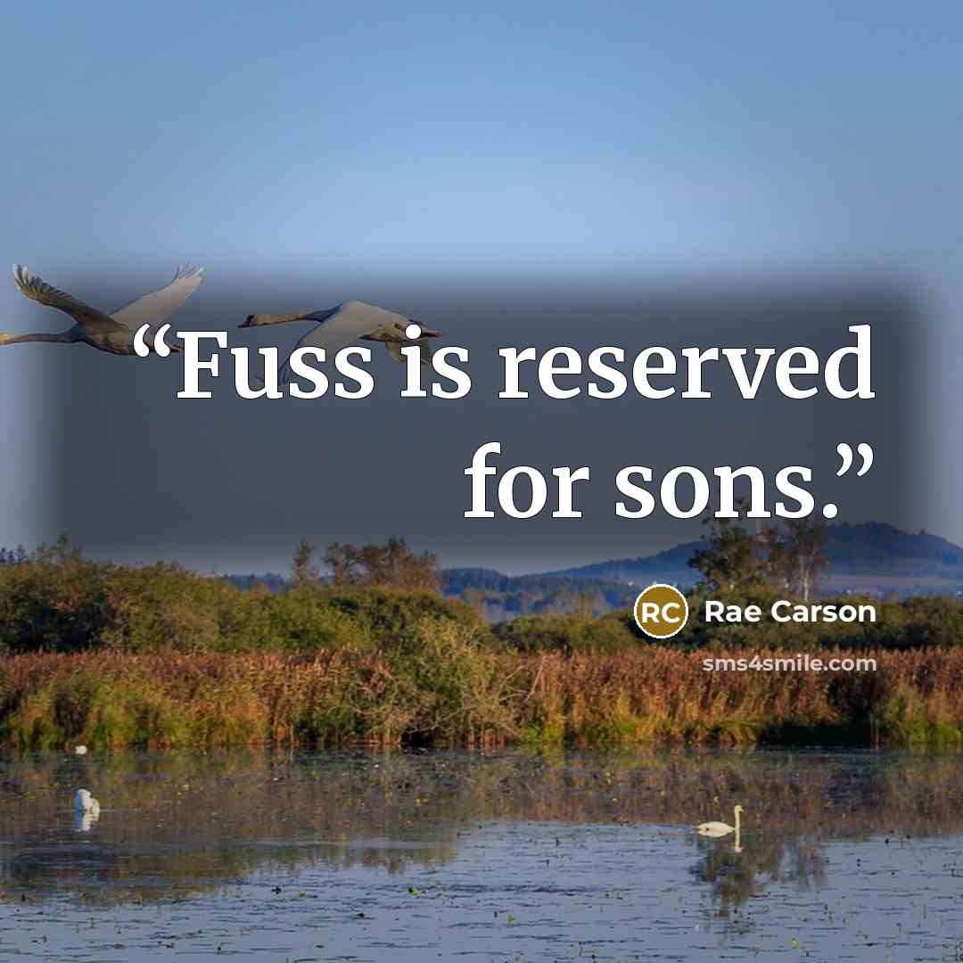 “Fuss is reserved for sons.” quote by Rae Carson