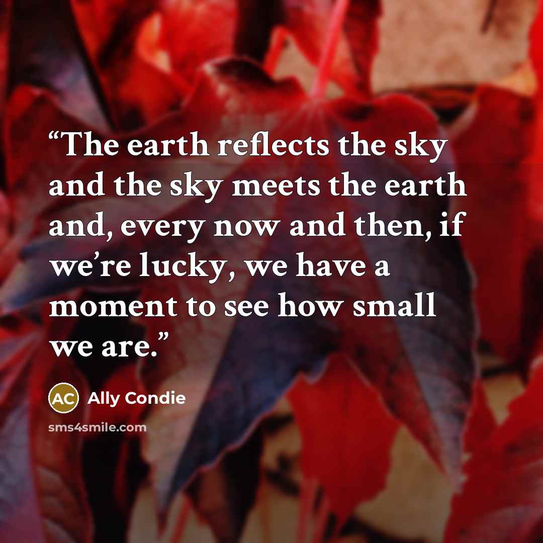 “The earth reflects the sky and the sky meets the earth and, every now and then, if we’re lucky, we have a moment to see how small we are.” quote by Ally Condie