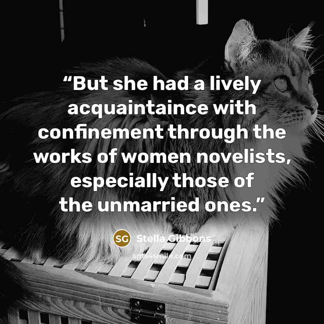 “But she had a lively acquaintaince with confinement through the works of women novelists, especially those of the unmarried ones.” quote by Stella Gibbons