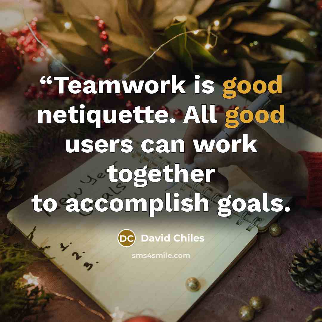 ““Teamwork is good netiquette. All good users can work together to accomplish goals.” quote by David Chiles