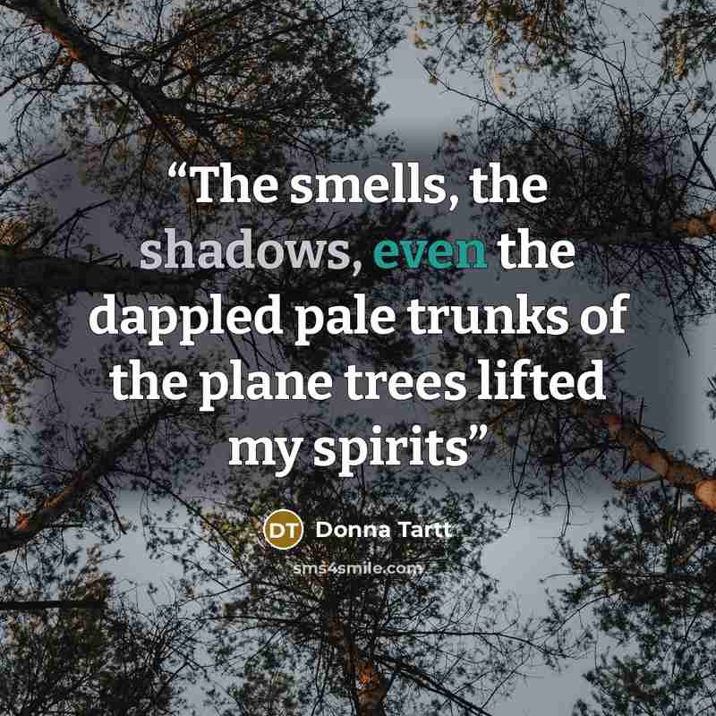“The smells, the shadows, even the dappled pale trunks of the plane trees lifted my spirits” quote by Donna Tartt
