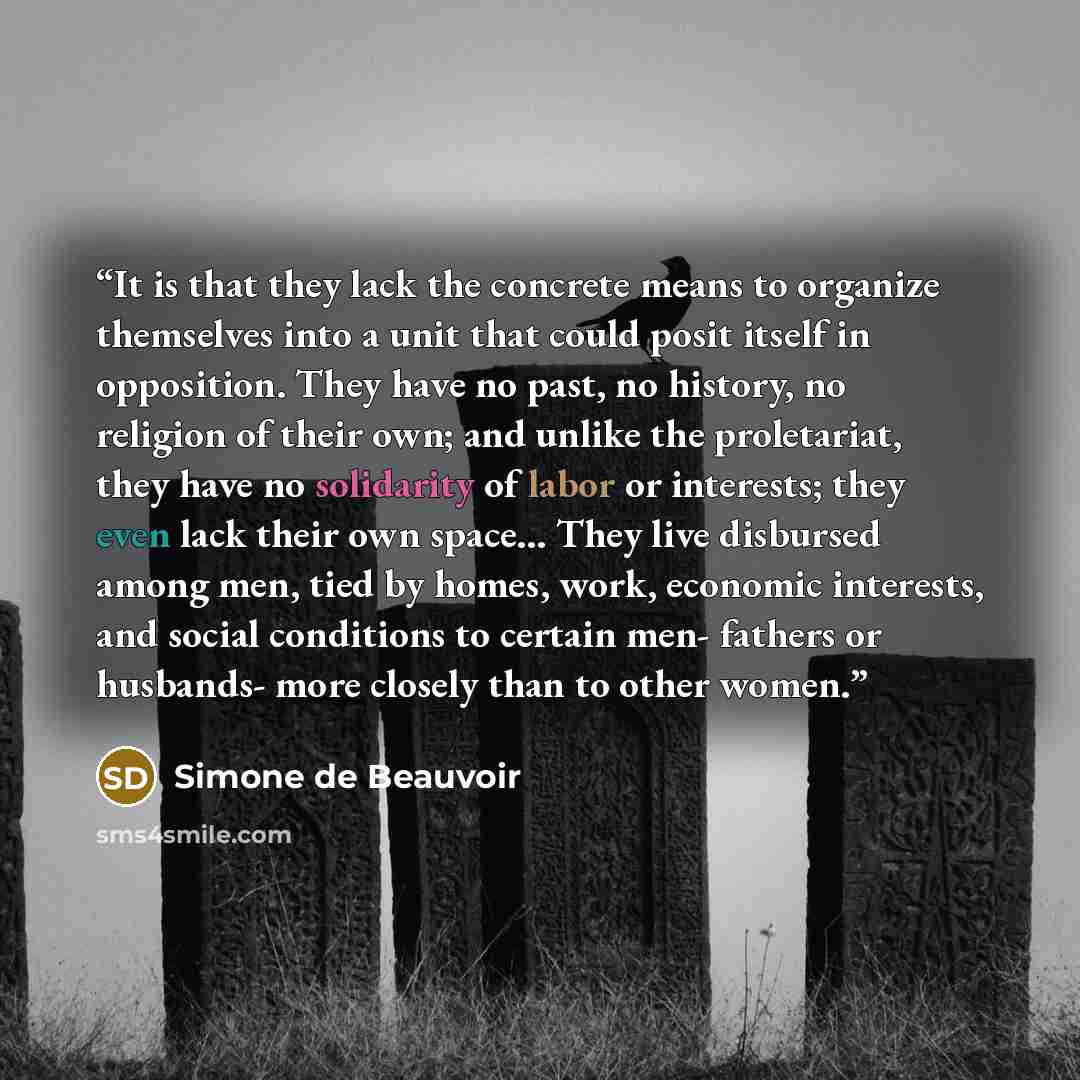 “It is that they lack the concrete means to organize themselves into a unit that could posit itself in opposition. They have no past, no history, no religion of their own; and unlike the proletariat, they have no solidarity of labor or interests; they even lack their own space… They live disbursed…” quote by Simone de Beauvoir