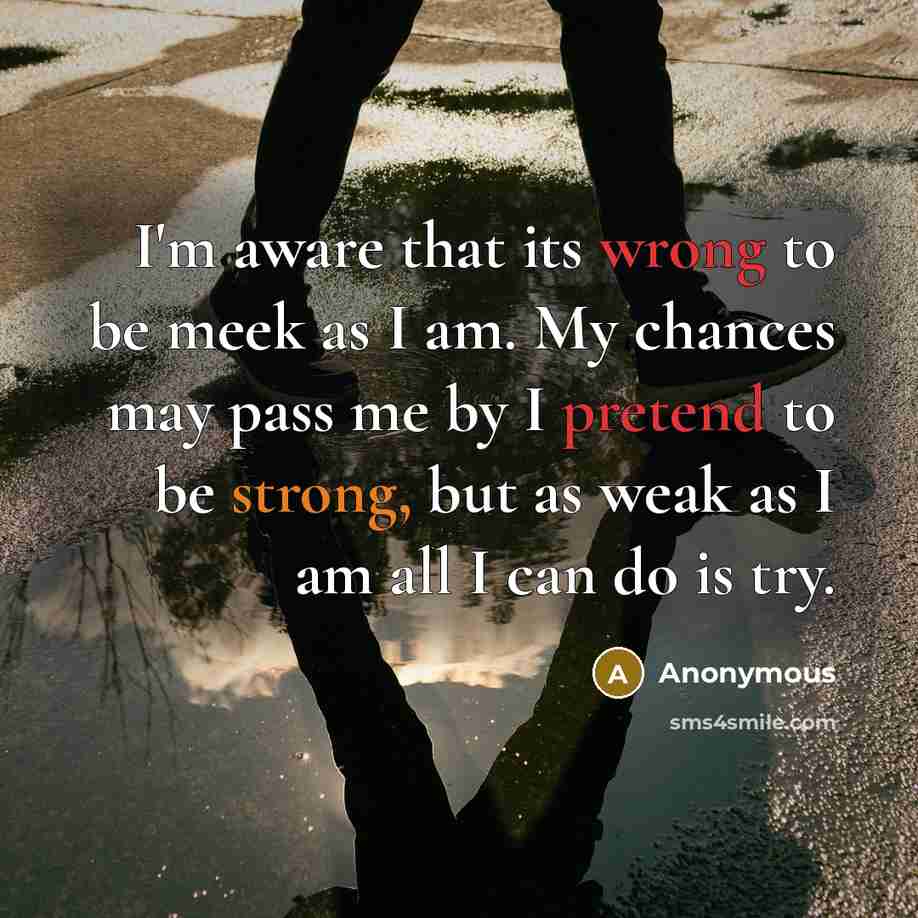 “I'm aware that its wrong to be meek as I am. My chances may pass me by I pretend to be strong, but as weak as I am all I can do is try.” quote by Anonymous