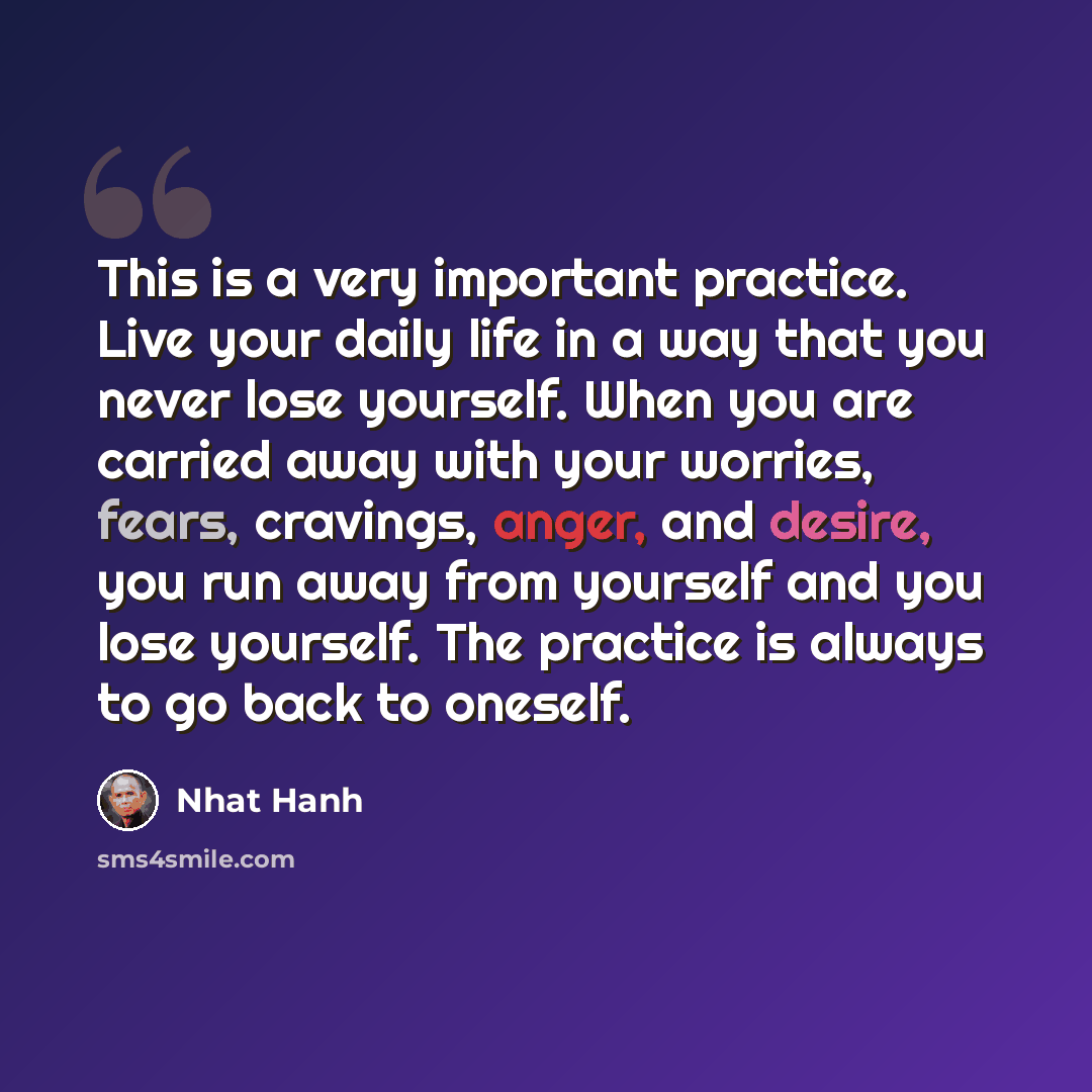 “This is a very important practice. Live your daily life in a way that you never lose yourself. When you are carried away with your worries, fears, cravings, anger, and desire, you run away from yourself and you lose yourself. The practice is always to go back to oneself.” quote by Nhat Hanh