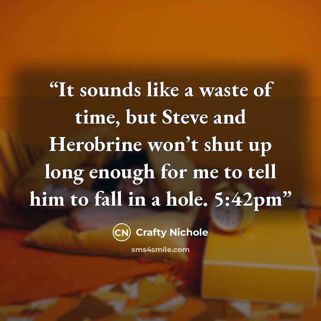 “It sounds like a waste of time, but Steve and Herobrine won’t shut up long enough for me to tell him to fall in a hole. 5:42pm” quote by Crafty Nichole
