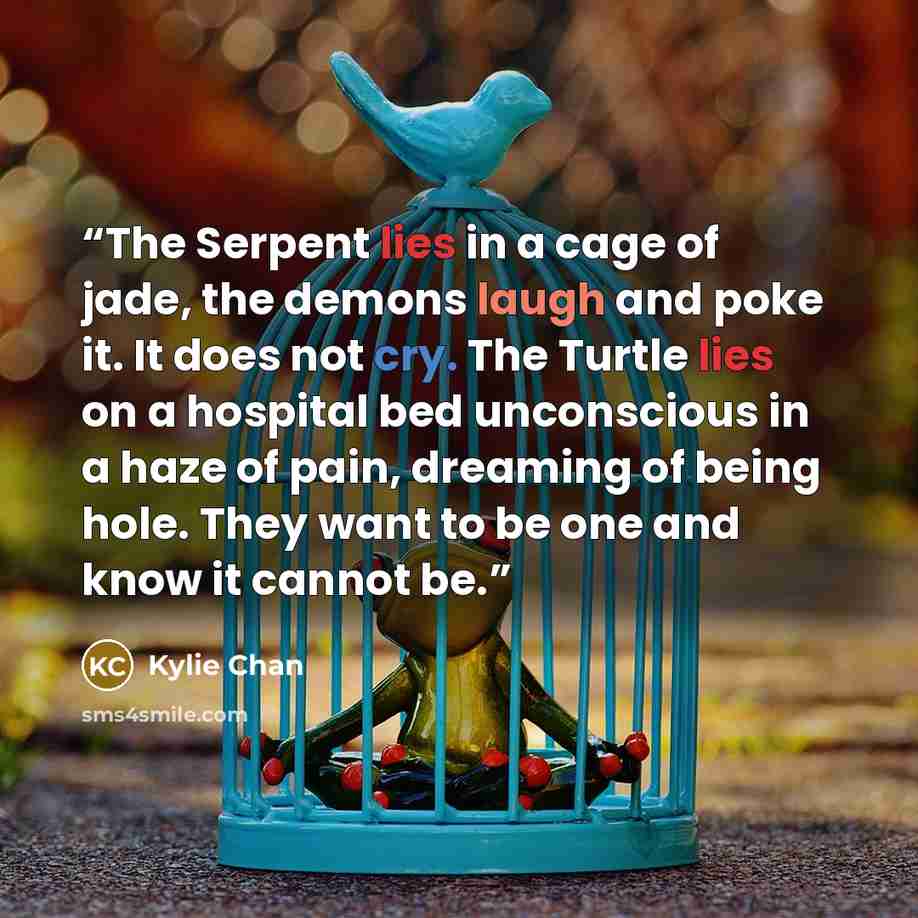“The Serpent lies in a cage of jade, the demons laugh and poke it. It does not cry. The Turtle lies on a hospital bed unconscious in a haze of pain, dreaming of being hole. They want to be one and know it cannot be.” quote by Kylie Chan