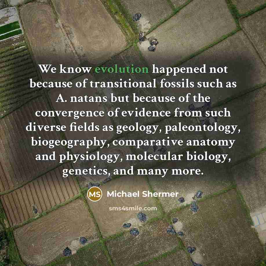 “We know evolution happened not because of transitional fossils such as A. natans but because of the convergence of evidence from such diverse fields as geology, paleontology, biogeography, comparative anatomy and physiology, molecular biology, genetics, and many more.” quote by Michael Shermer